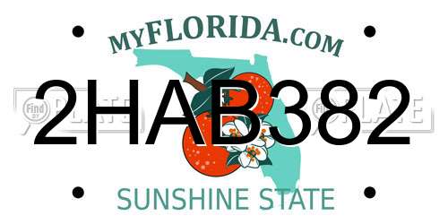 2HAB382 Florida License Plate