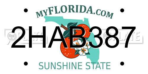 2HAB387 Florida License Plate