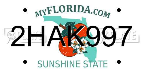 2HAK997 Florida License Plate