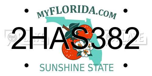 2HAS382 Florida License Plate
