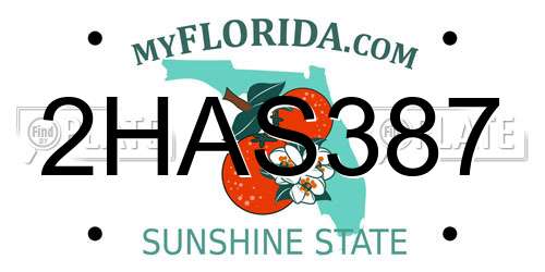 2HAS387 Florida License Plate