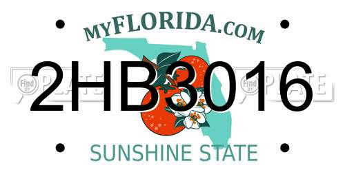2HB3016 Florida License Plate
