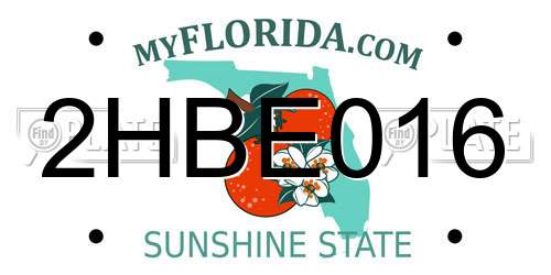 2HBE016 Florida License Plate