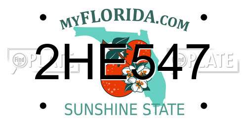 2HE547 Florida License Plate