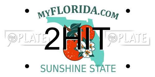 2HIT Florida License Plate