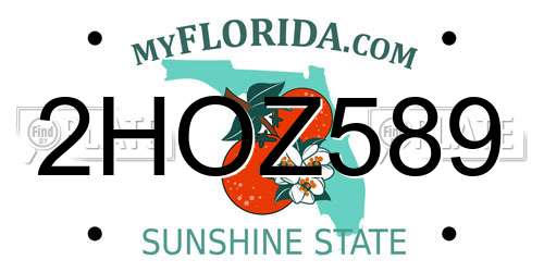2HOZ589 Florida License Plate