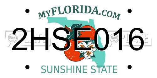 2HSE016 Florida License Plate