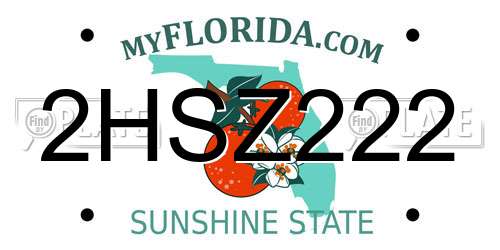 2HSZ222 Florida License Plate