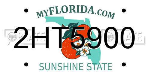 2HT5900 Florida License Plate