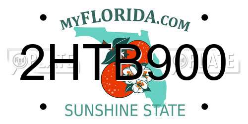 2HTB900 Florida License Plate