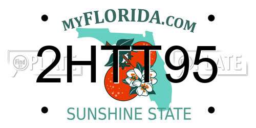 2HTT95 Florida License Plate