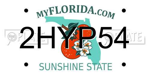 2HYP54 Florida License Plate