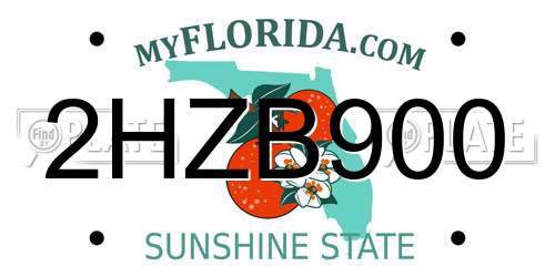 2HZB900 Florida License Plate