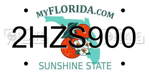 2HZS900 Florida License Plate