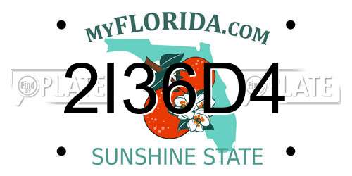 2I36D4 Florida License Plate