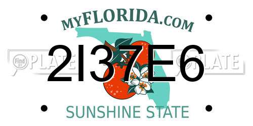 2I37E6 Florida License Plate