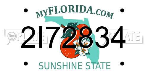 2I72834 Florida License Plate