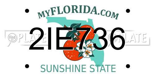 2IE736 Florida License Plate