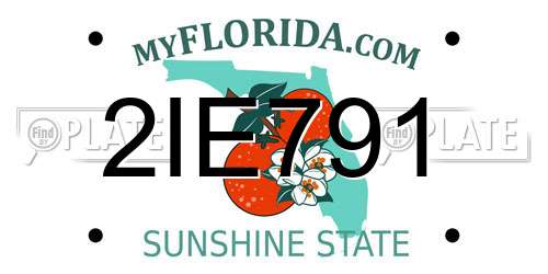 2IE791 Florida License Plate