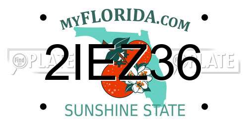 2IEZ36 Florida License Plate