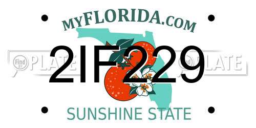 2IF229 Florida License Plate