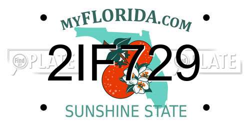 2IF729 Florida License Plate
