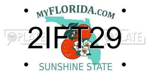 2IFT29 Florida License Plate