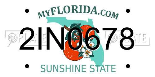 2IN0678 Florida License Plate