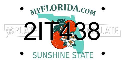 2IT438 Florida License Plate