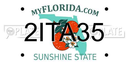 2ITA35 Florida License Plate