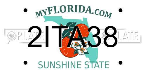 2ITA38 Florida License Plate