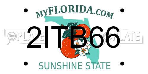 2ITB66 Florida License Plate