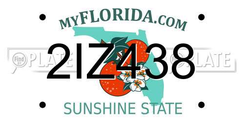 2IZ438 Florida License Plate