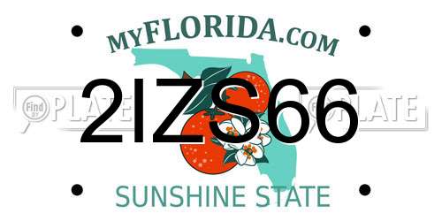 2IZS66 Florida License Plate
