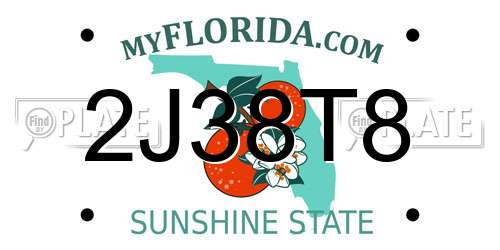 2J38T8 Florida License Plate