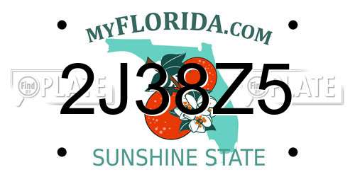 2J38Z5 Florida License Plate