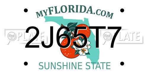 2J65T7 Florida License Plate