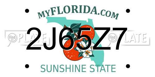 2J65Z7 Florida License Plate