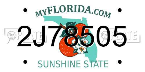 2J78505 Florida License Plate