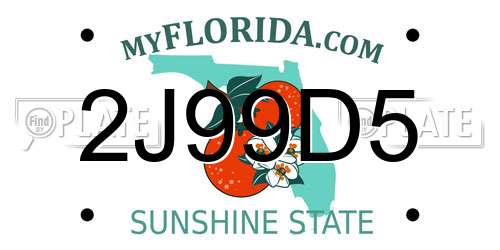 2J99D5 Florida License Plate