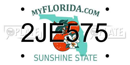 2JE575 Florida License Plate