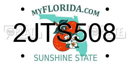 2JTS508 Florida License Plate