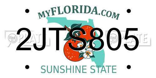 2JTS805 Florida License Plate