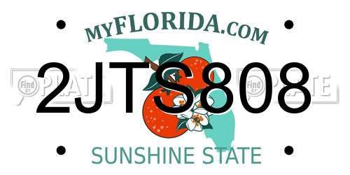 2JTS808 Florida License Plate