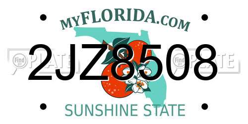 2JZ8508 Florida License Plate