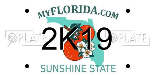 2K19 Florida License Plate