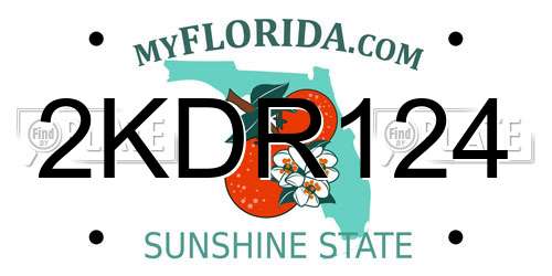 2KDR124 Florida License Plate
