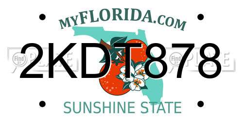 2KDT878 Florida License Plate