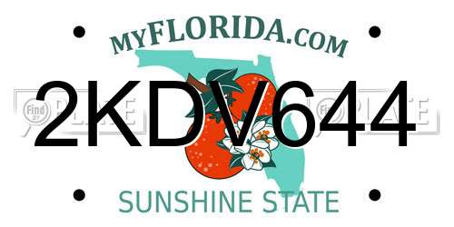 2KDV644 Florida License Plate