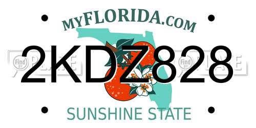 2KDZ828 Florida License Plate